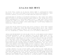 자기소개서 예문-통역직 자기소개서 예문-통역직